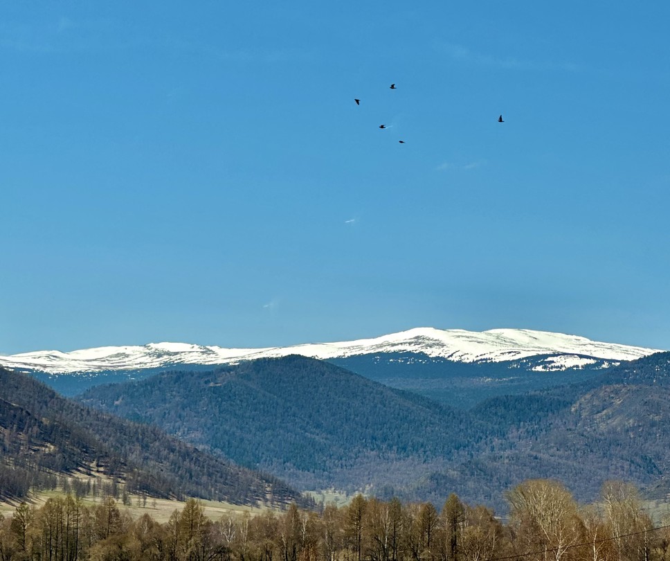 Насыщенная, интереснейшая экскурсия, где каждый километр - неописуемое эстетическое удовольствие!
