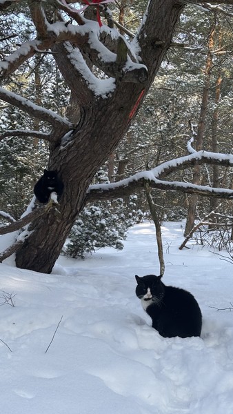 Отличная экскурсия, красивейшие виды, интересные локации, познавательная информация и отдельное спасибо экскурсоводу Ирине