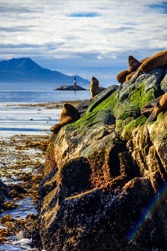 Фото отзыва 3: авторский тур "Пейзажи Аргентины: Огненная Земля, ледник Перито-Морено и водопады Игуасу"