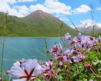 Треккинг к озеру Кёль-Тор и национальный парк «Кемин»