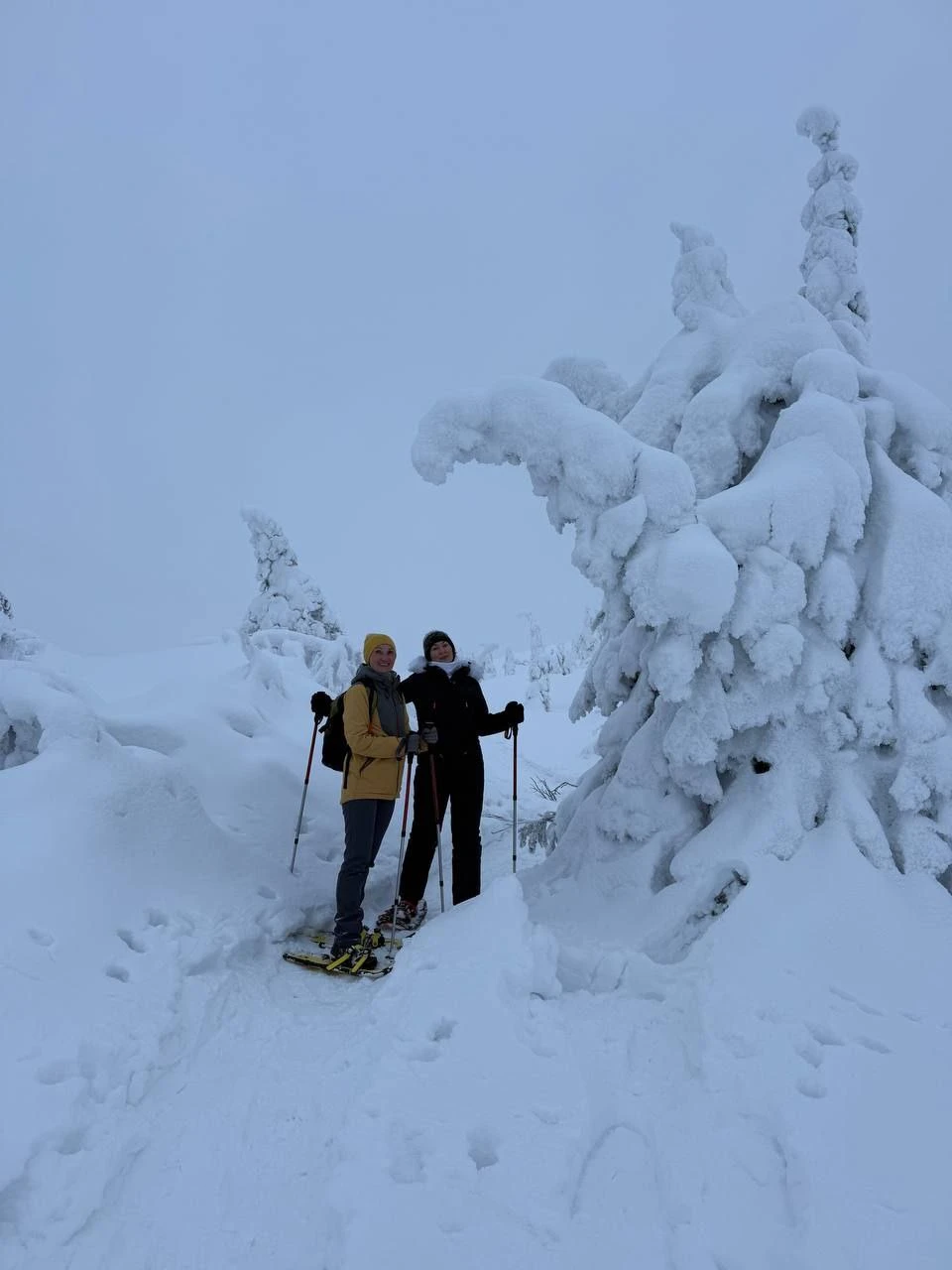 Замечательная прогулка, прекрасный гид, шикарная природа! Юлия, спасибо огромное за такой поход, хорошее настроение, за интересную