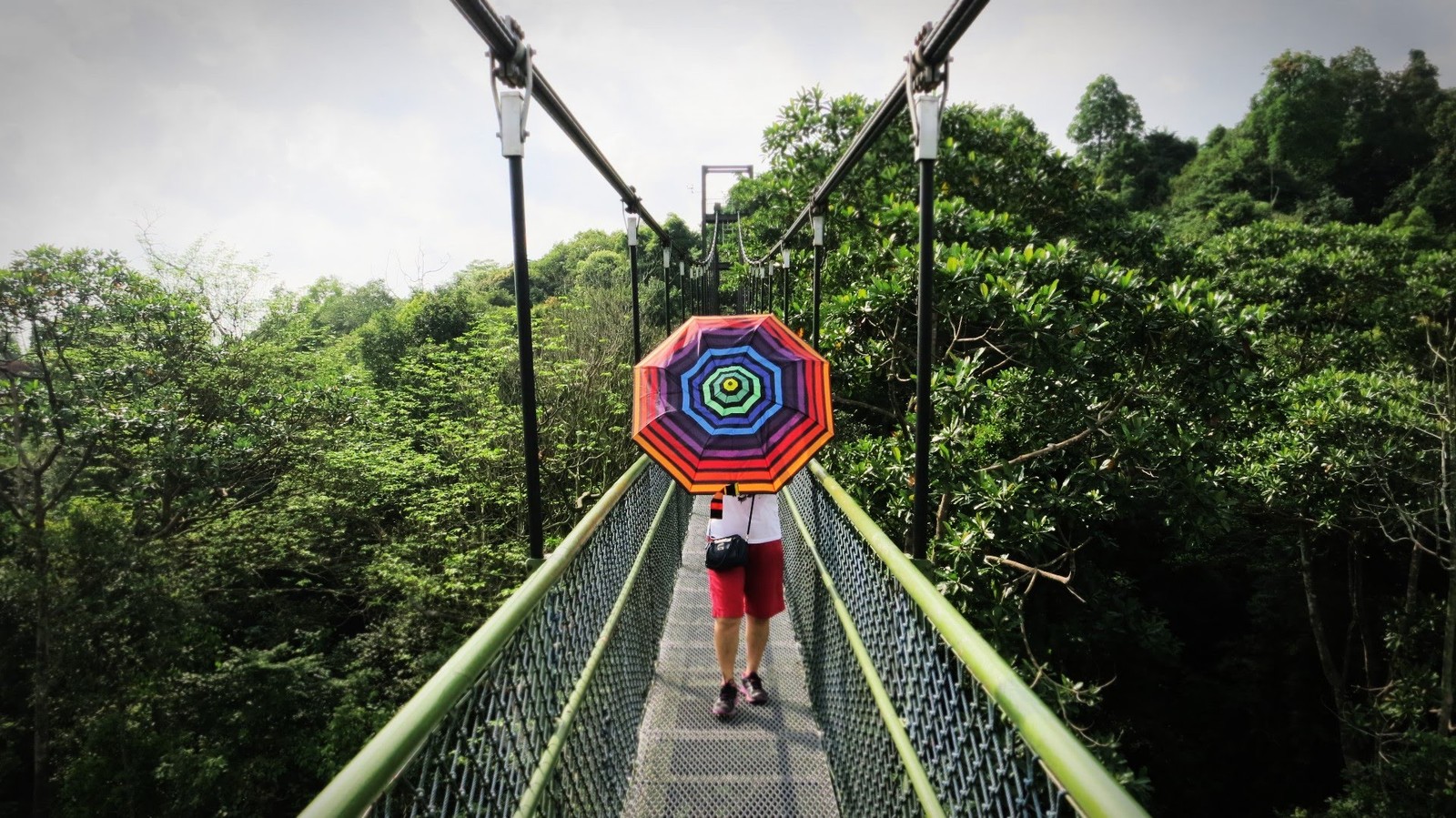 Прогулка по парку MacRitchie с фотосессией