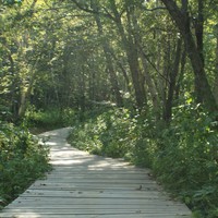 Фото отзыва 4: экскурсия ""