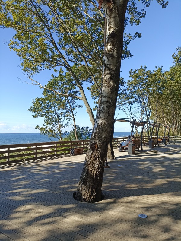 Виды Янтарная душа Калининграда