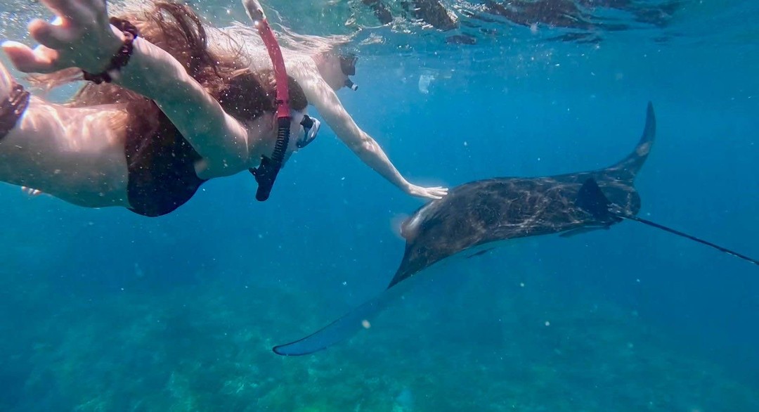 Снорклинг с гигантскими скатами - на Нуса Пенида (Дмитрий)