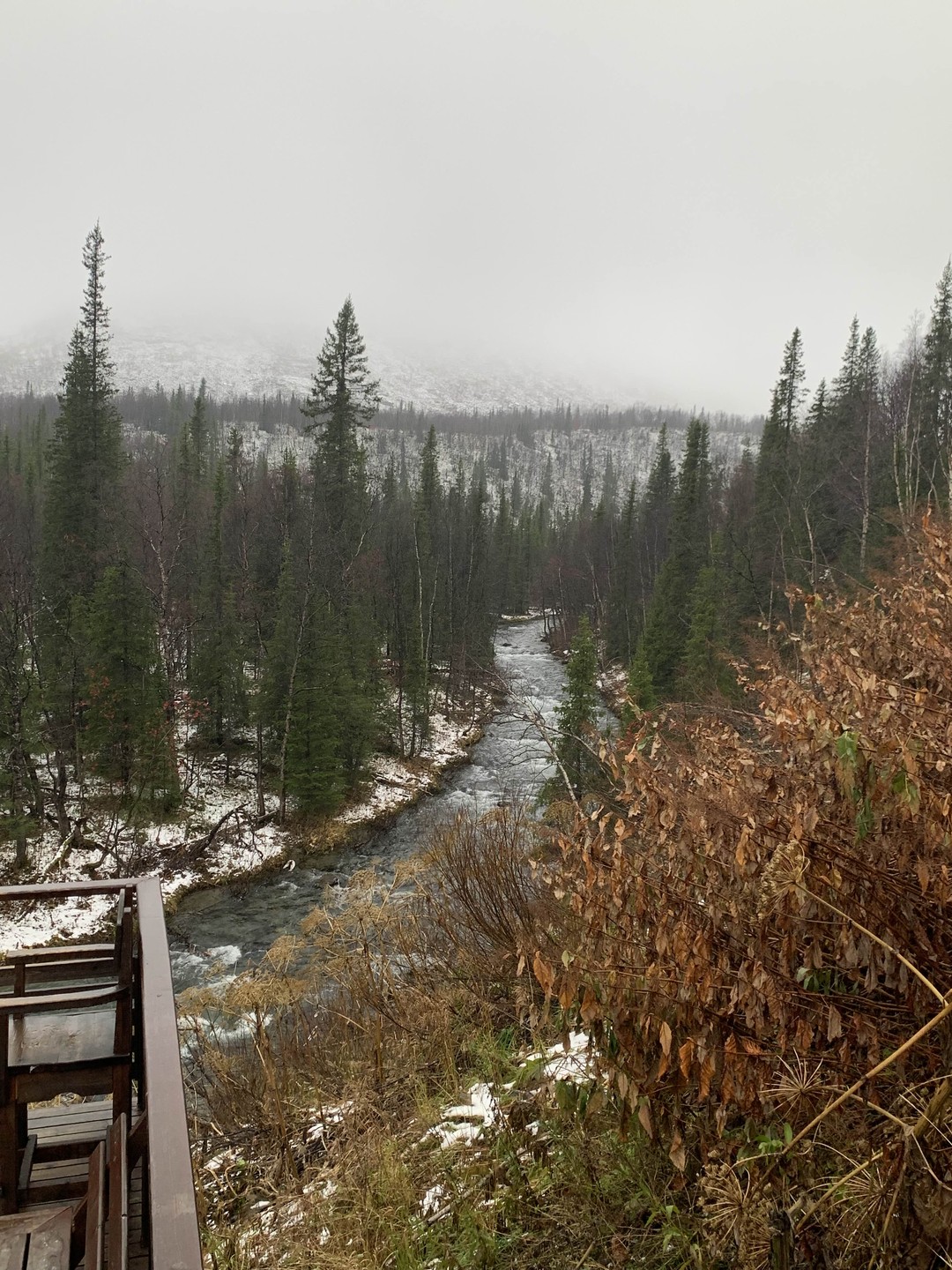 Величественные Хибины и Кировск за один день (Мария)