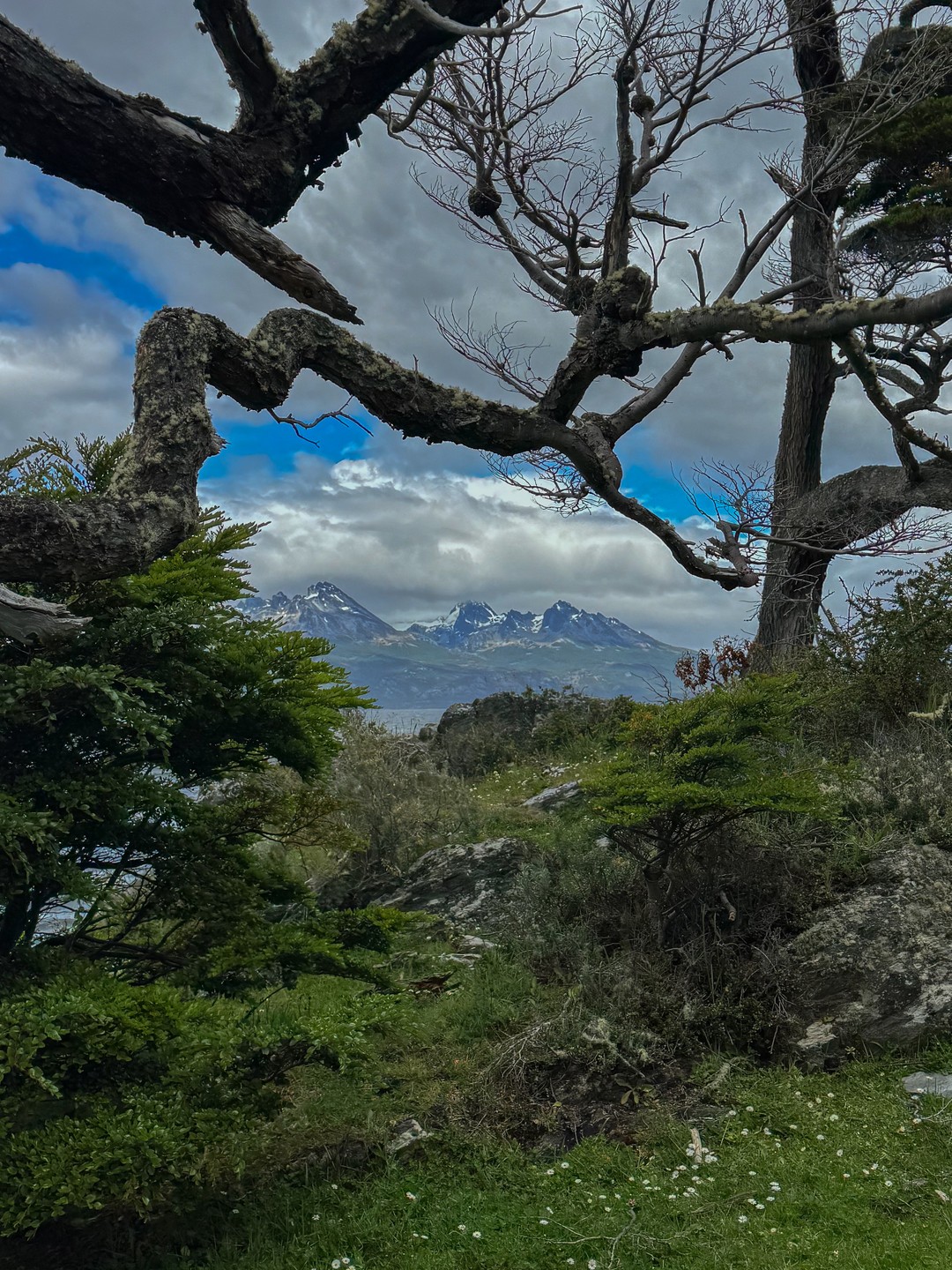 Благодарны Дмитрию за пунктуальность, заинтересованность в нашем комфорте, погружение в красоты Патагонии, внимательность к деталям и