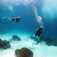 Фото отзыва 2: экскурсия "Подводный мир Пхукета: дайвинг для новичков на острове Рача-Яй"