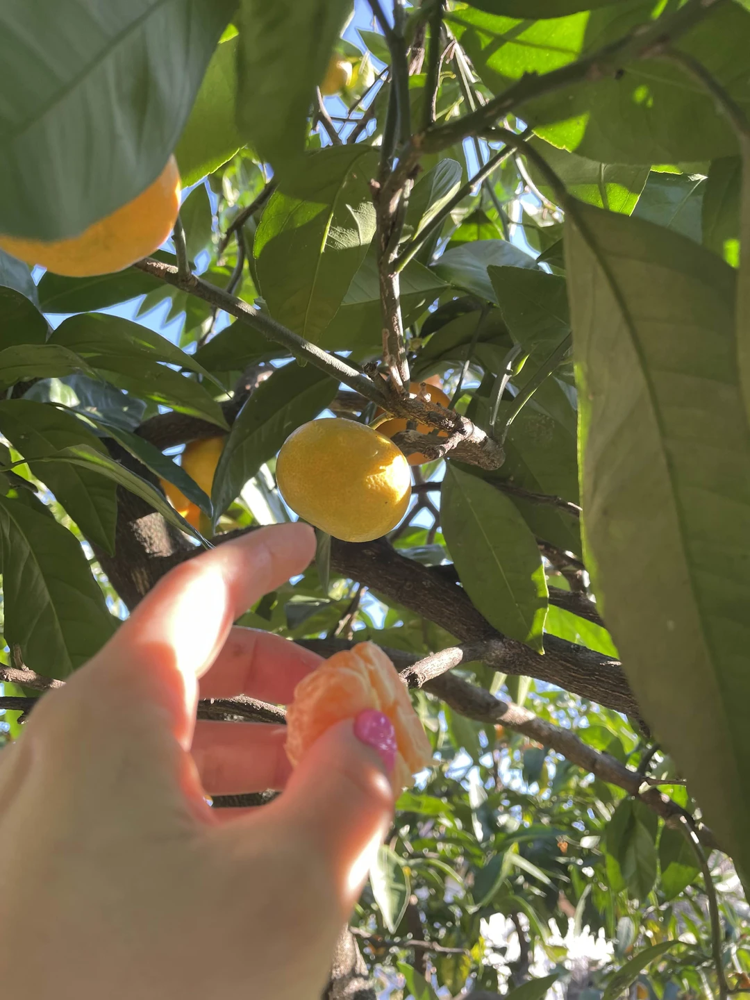 Огромное спасибо за экскурсию!! Очень понравился гид - Вячеслав!! Я не первый раз была в Абхазии