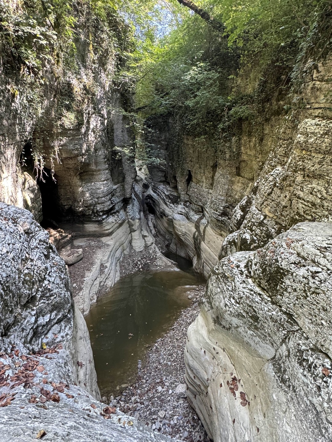 Елена, огромное спасибо за замечательную экскурсию к водопадам! Вы очень интересно и увлекательно рассказывали, создавая приятную