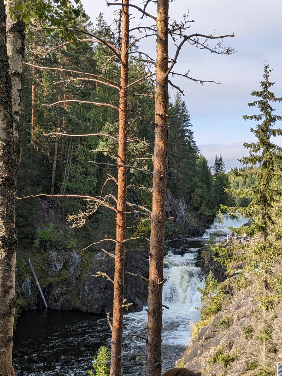 Замечательная поездка, все организовано четко! Не скучали ни минуты, везде были супер экскурсоводы, один другого лучше,