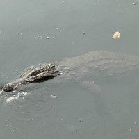 Фото отзыва 2: экскурсия "Однодневная индивидуальная поездка из Гоа в штат Махараштра"