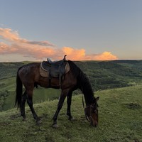 Фото отзыва 4: экскурсия "Конная прогулка недалеко от Кисловодска в мини-группе"