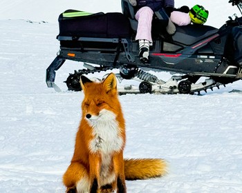 Снегоходный маршрут к Авачинскому перевалу и термальные источники