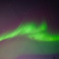 Фото отзыва 2: экскурсия "Северное сияние в Мурманске — увидеть хотя бы раз!"