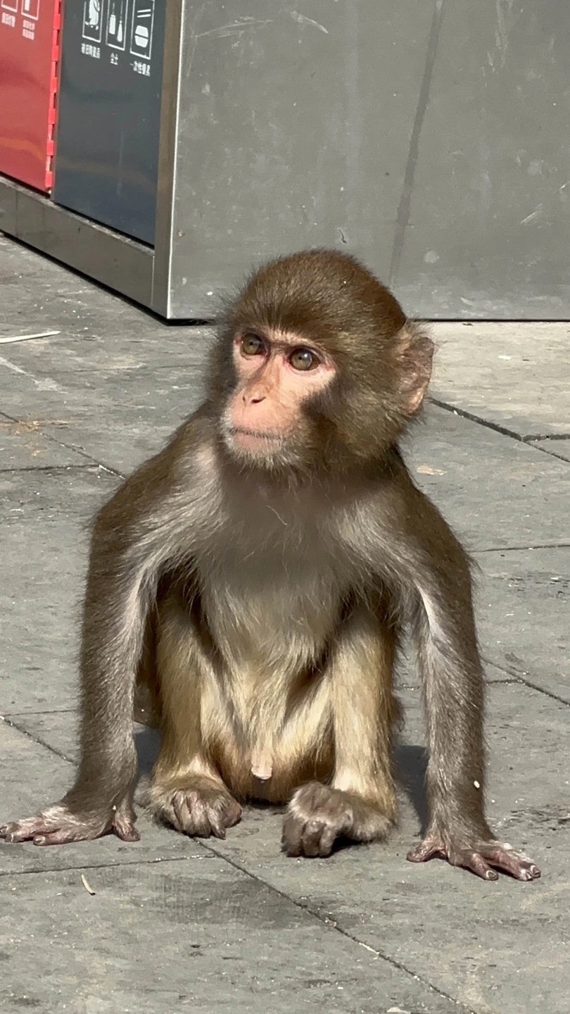 Отличная экскурсия!