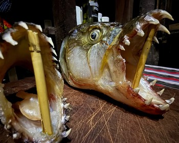 Рыбалка, отдых в лагере