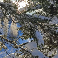Фото отзыва 2: экскурсия "Прогулка по Ладожским шхерам на аэролодке"