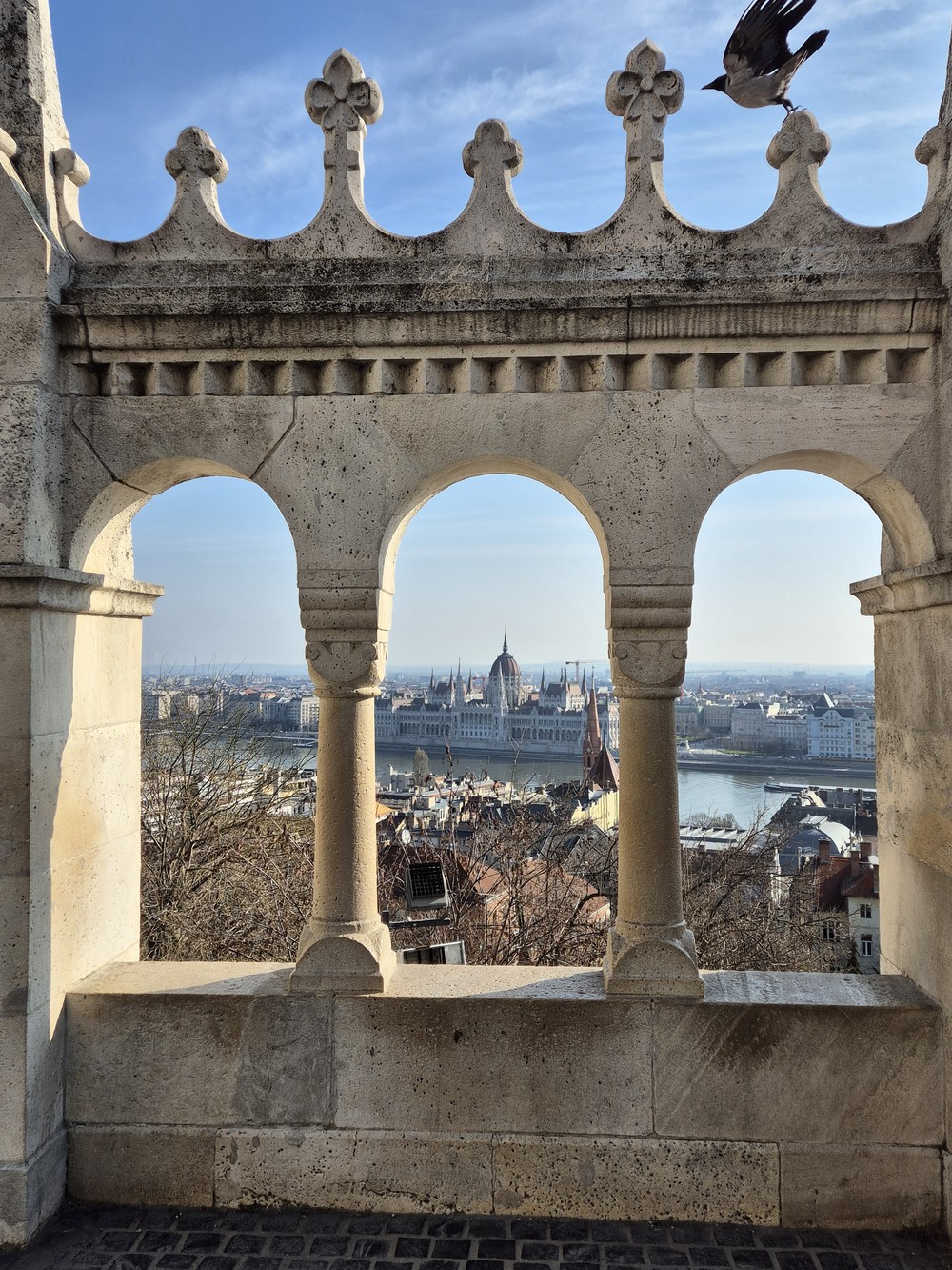 Фото Аристократическая Буда