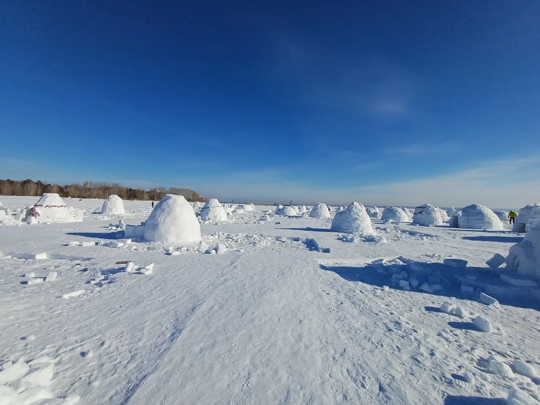 Приезжали в Новосибирк 14-16 февраля 2026 года. Заказывали две экскурсии Красный проспект - сердце Новосибирска и Академгородок