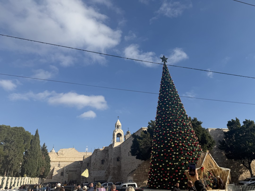 Отличная экскурсия, всем рекомендую. Организатор отвечает на все вопросы, сам приехал в отель, разъяснил все подробно