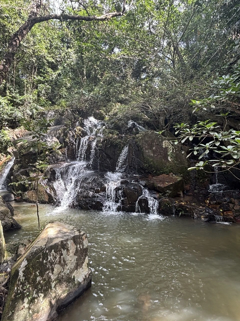 Прекрасная экскурсия. Договорились выехать чуть раньше, в результате приехали рано и народу было мало. Спокойно гуляли