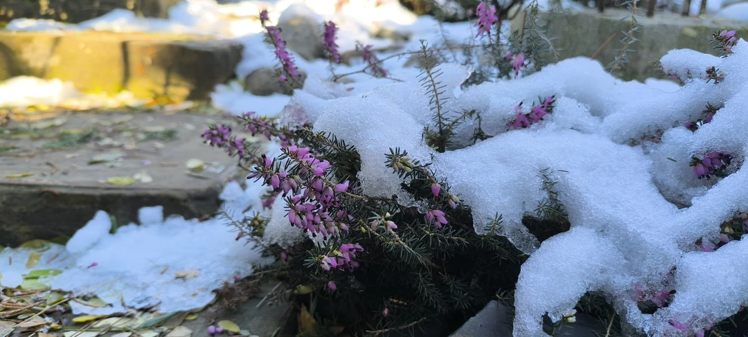 Сочи глазами местных (Катерина)