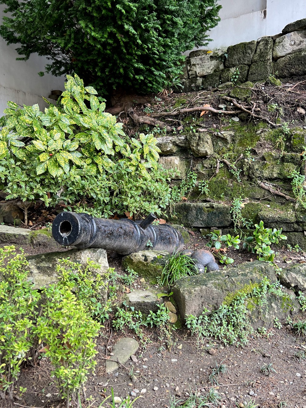 Сочи: как всё начиналось (9/9)