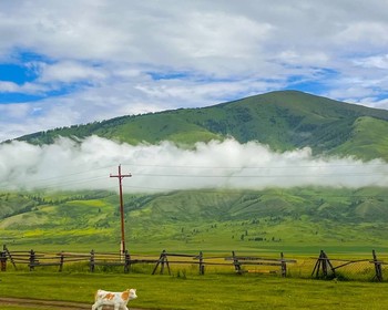 Первая прогулка: Катунский хребет и Белуха