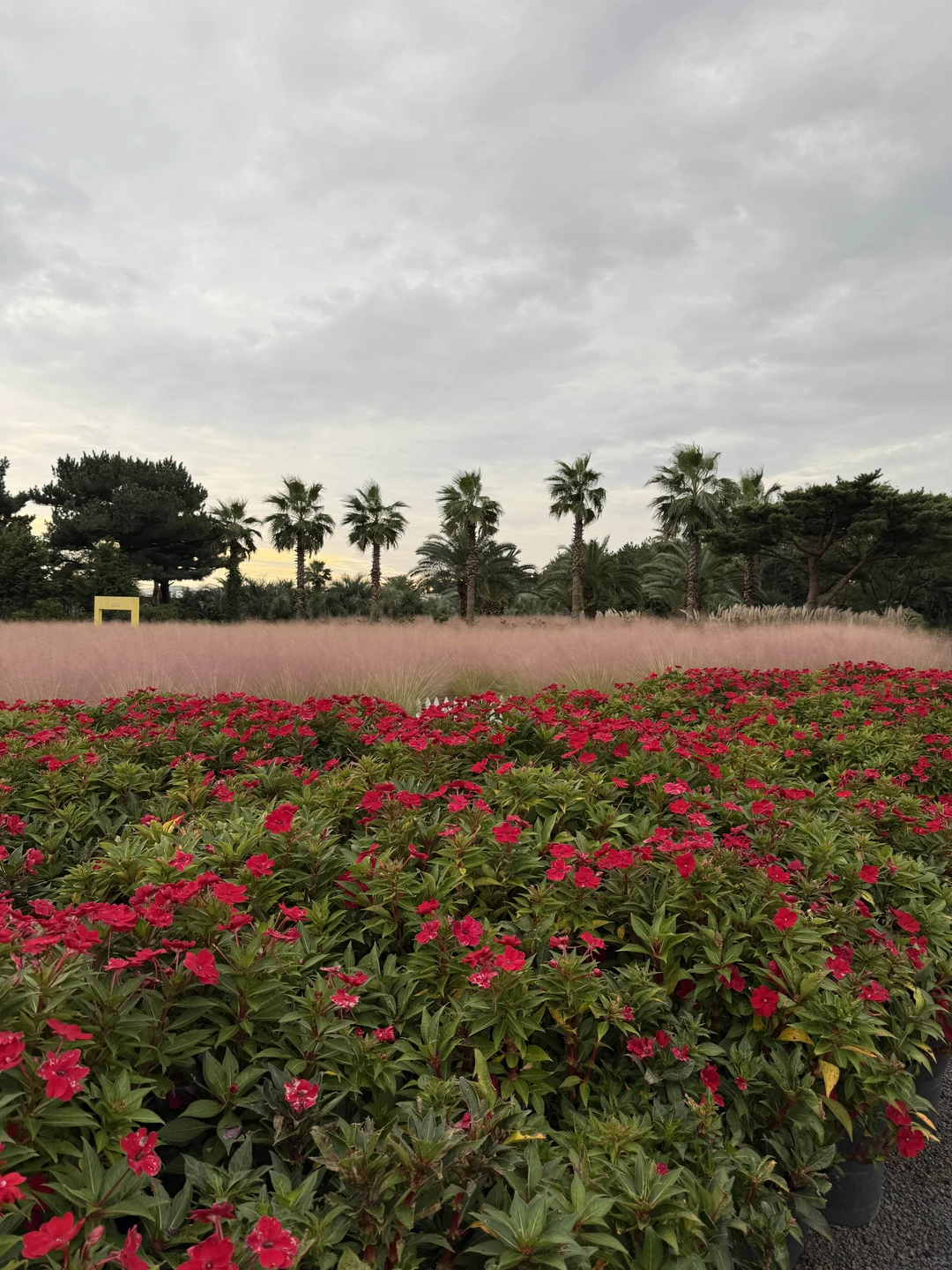 Чеджу - остров, куда хочется вернуться (Влада)
