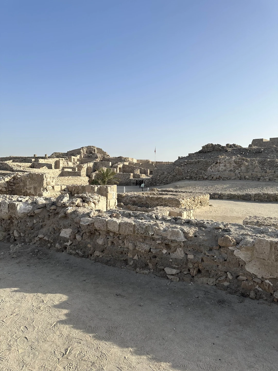 Благодарим Татьяну за прекрасную экскурсию. Гибкое посещение достопримечательностей с заботой о нас, в теплой атмосфере и