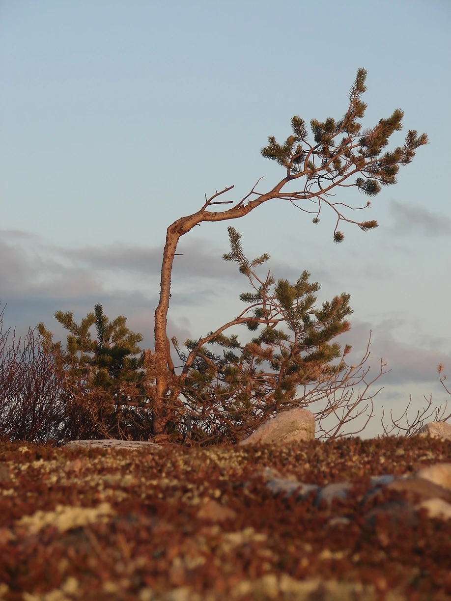 Из Кандалакши — к Колвицкому водопаду (11/12)