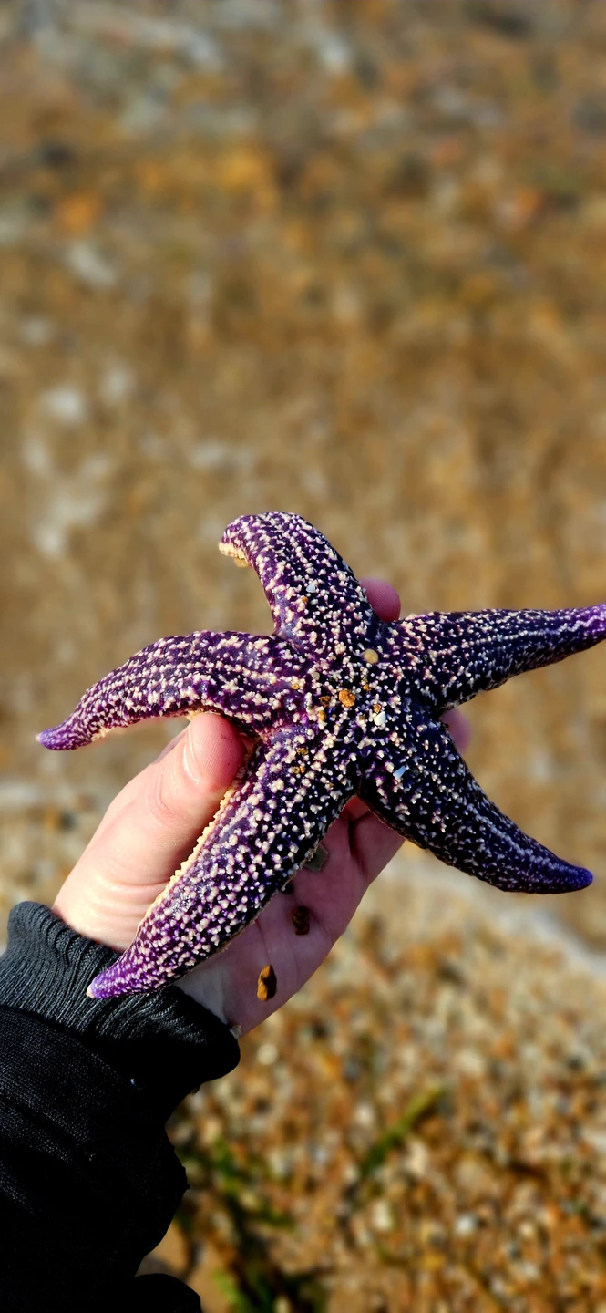 Экскурсия очень насыщенная. Не смотря на то, что посещали самые популярные локации рядом с Владивостоком, красоты