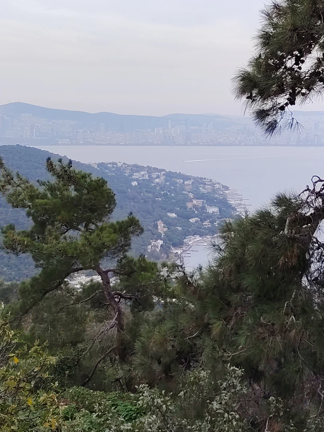 Что Вас будет ждать - прогулка на пароме по босфору, чудесные улочки с милейшими домиками всевозможных