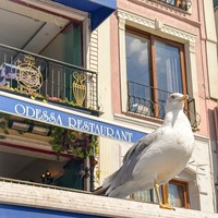 Фото отзыва 6: экскурсия "Многогранный Стамбул"