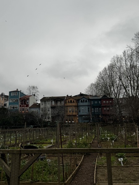 Неподражаемый Стамбул (Ольга)