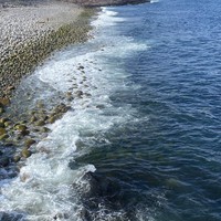 Фото отзыва 5: экскурсия "Красоты Териберки и выход в море на поиски китов!"