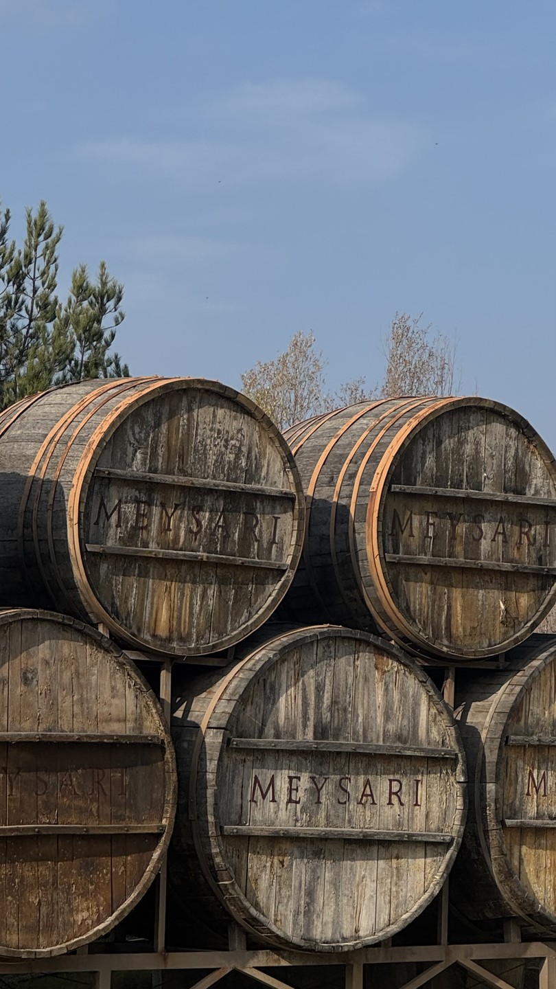 Отличная экскурсия, огромное спасибо аж двум нашим гидам - Севиндику и Моису! Все было на высшем