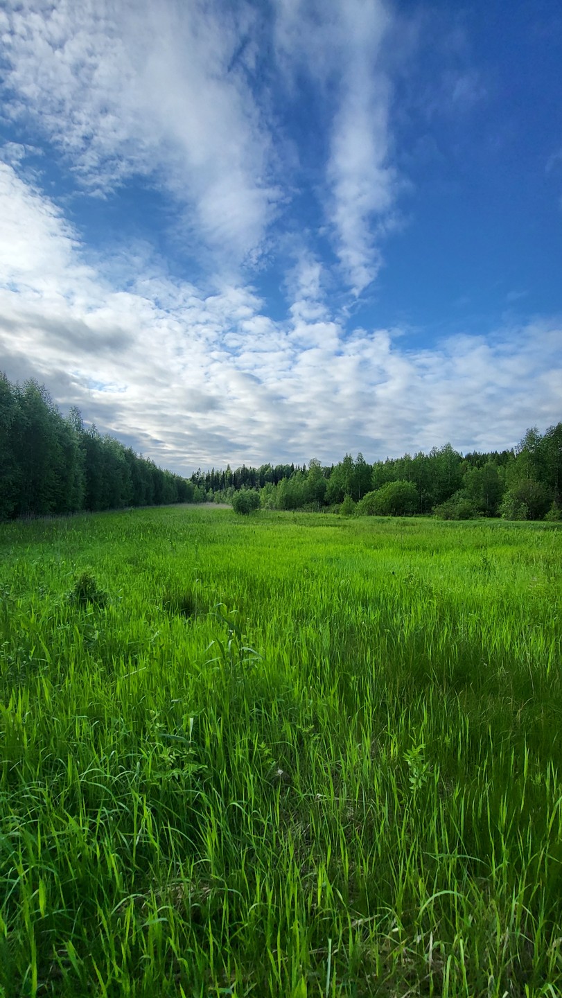 Были на экскурсии 23.06.2024. Прекрасная организация, виды из окна машины по пути в Урочище и увлекательный