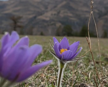 Конная прогулка, треккинг, пасека и «Зубы Дракона»