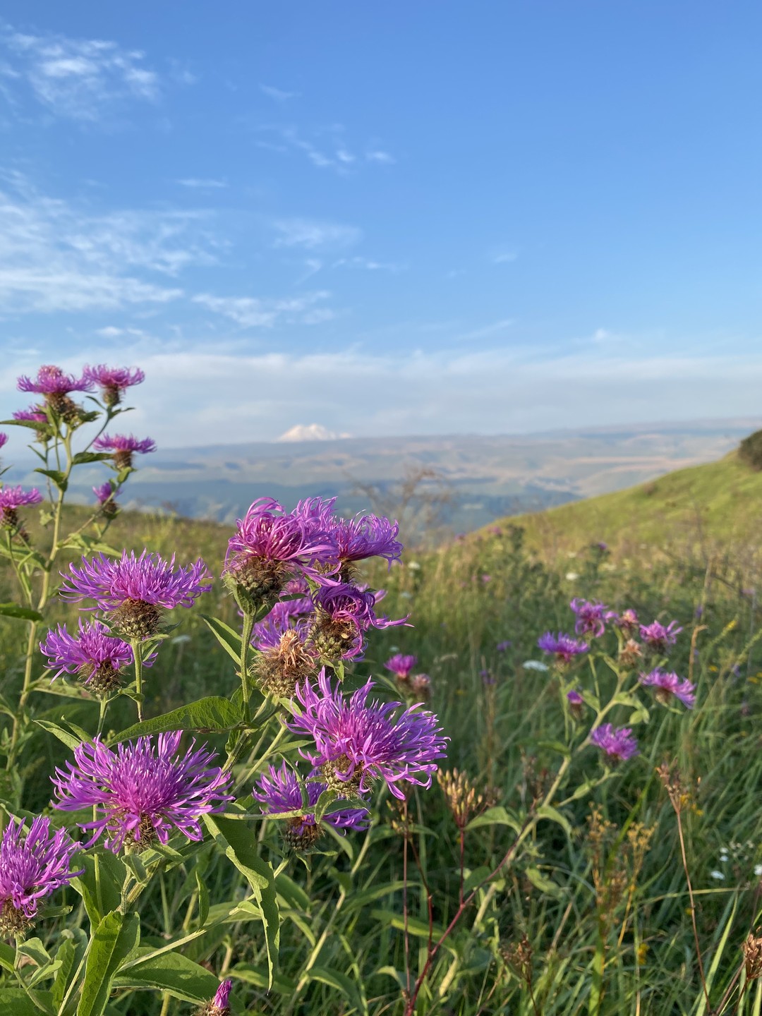 Лучшее начало дня- ранняя экскурсия с Верой по самым красивым местам парка. Головокружительные виды, замечательные фотографии