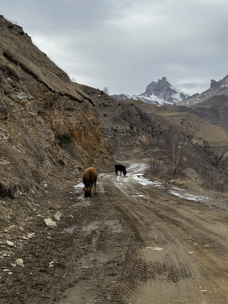 Прекрасная экскурсия! Экскурсовод Тамерлан очень интерно рассказывает, было безумно комфортно! Группа была небольшая, всего 4 человека
