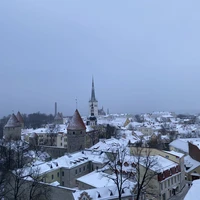 Фото отзыва 3: экскурсия "Экскурсия по средневековому Таллину"