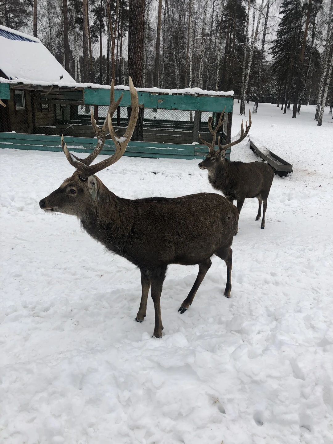 Благодарим вашу организацию за оперативный ответ на наш запрос экскурсии, на которую мы не успели заранее забронировать время!