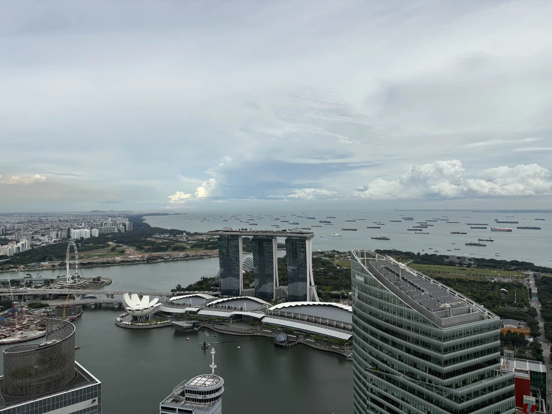 Повели прекрасный день с организатором Анастасией! Узнали история Сингапура, посетили много интересных локаций, вкусно пообедали! Рекомендую! Спасибо!