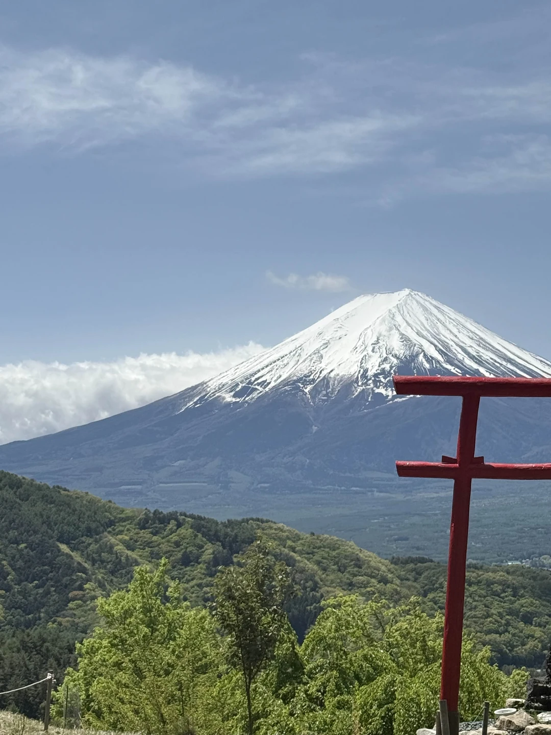 Вот вариант классного, живого отзыва для Трипстера: