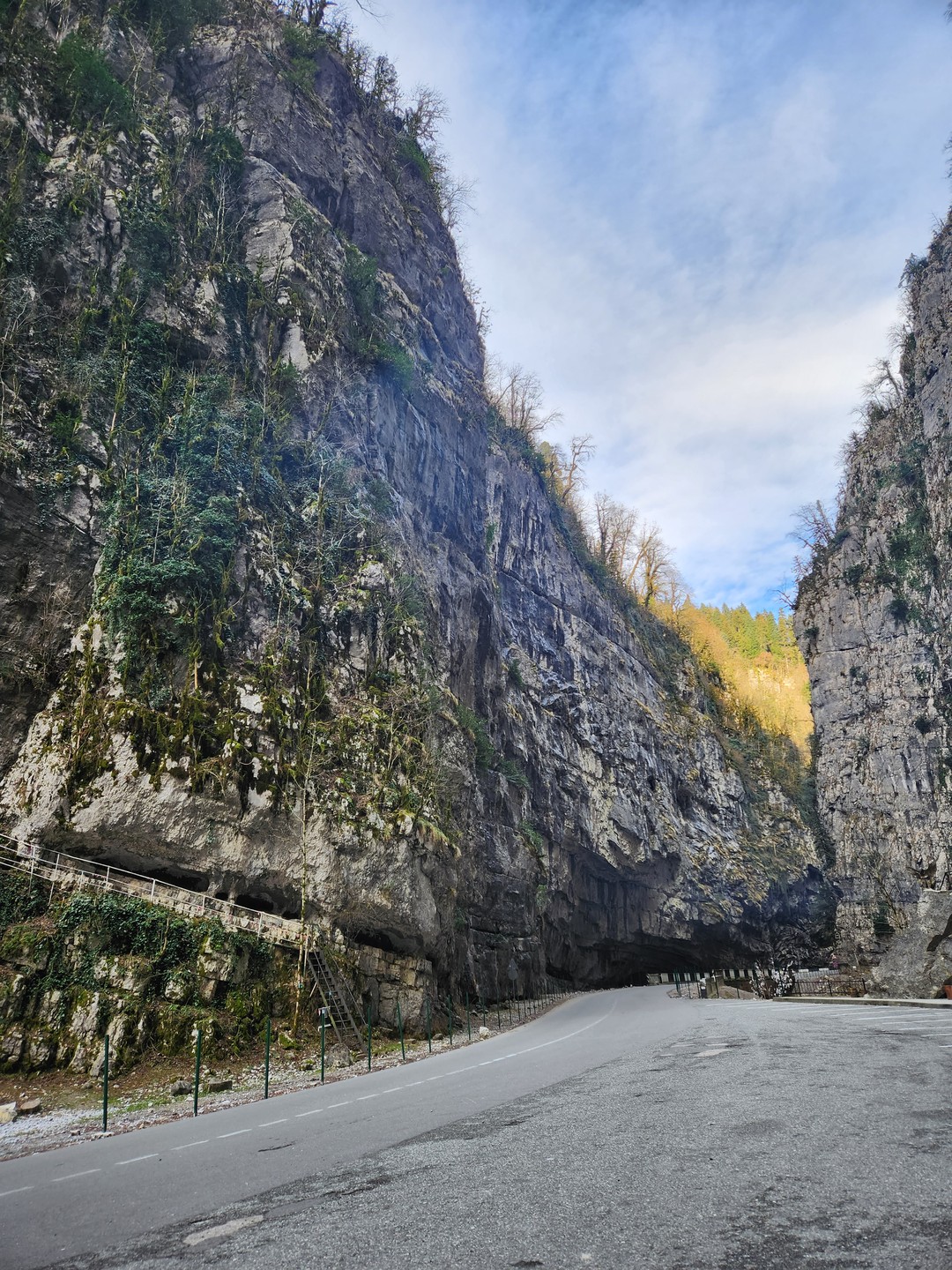 Путешествие на озеро Рица из Гагры (Елена)