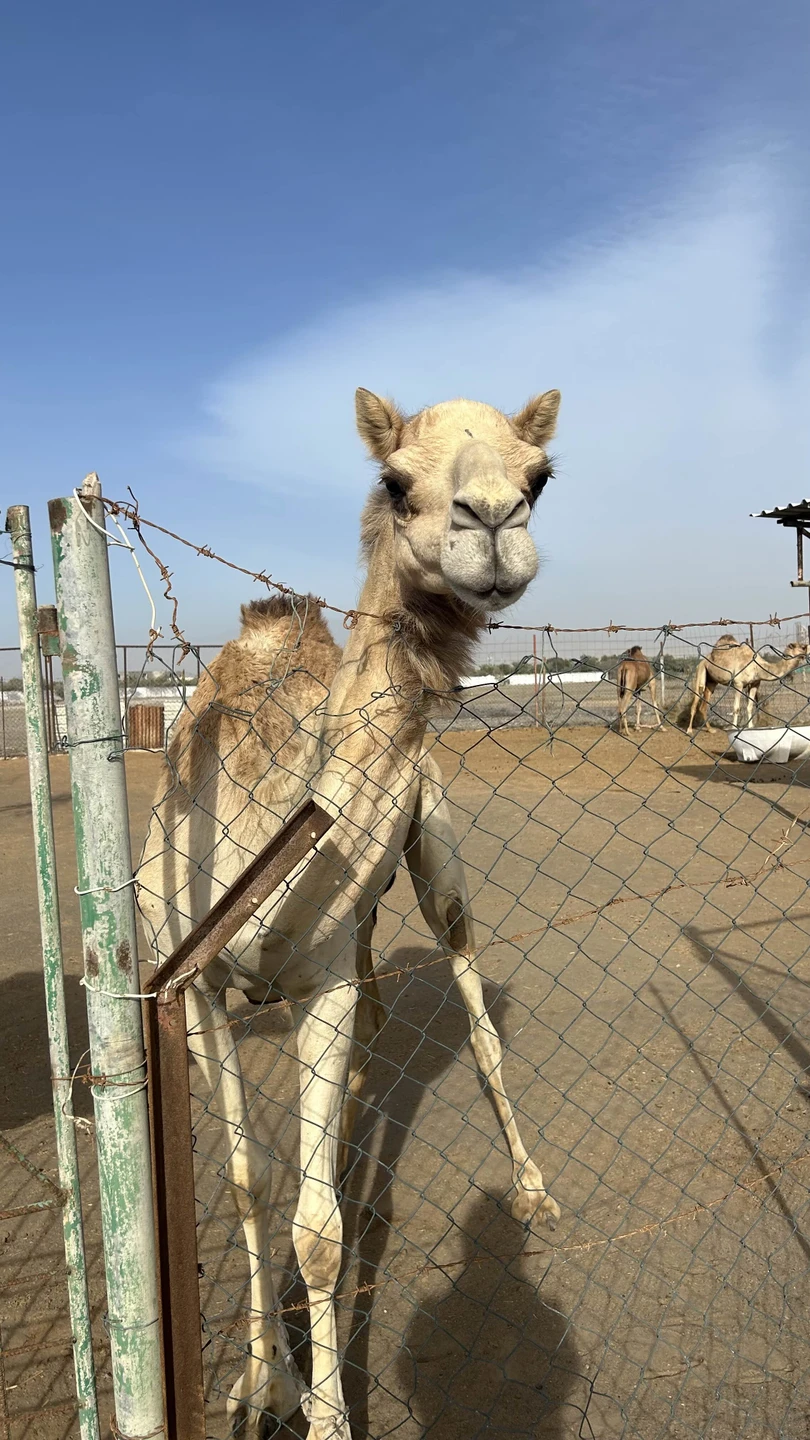 Это была шикарная экскурсия. Огромное спасибо Андрею - нашему гиду. Очень интересный рассказ с заездами на