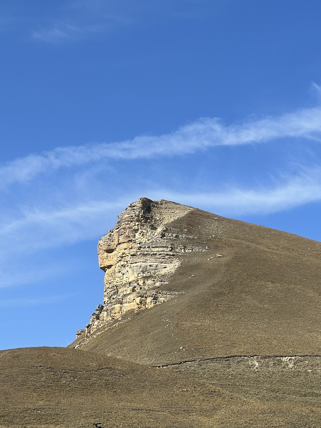 Отличная работа, у гида Карена, получили большое удовольствие от тура в Домбай, дивный рассказ о местных