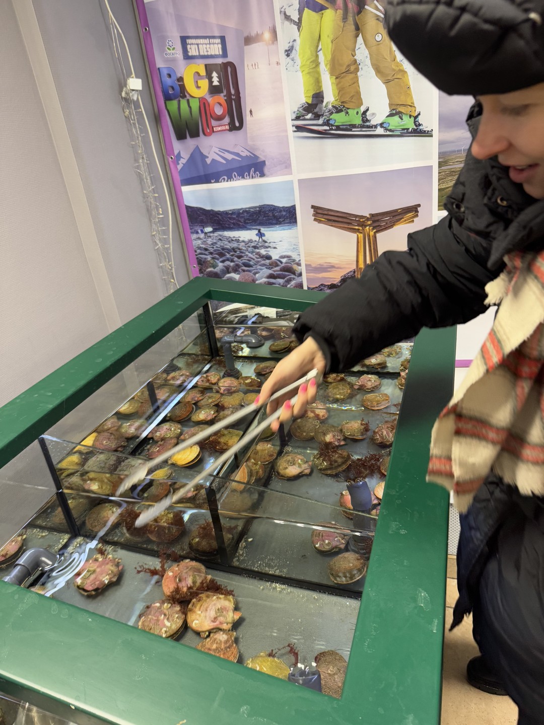 Спасибо Александру за замечательную экскурсию по городу. Также показал хорошие места, где можно приобрести морских гадов.